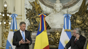 D&oacute;lar paralelo se dispara en Argentina y gobierno acusa a oposici&oacute;n y especuladores