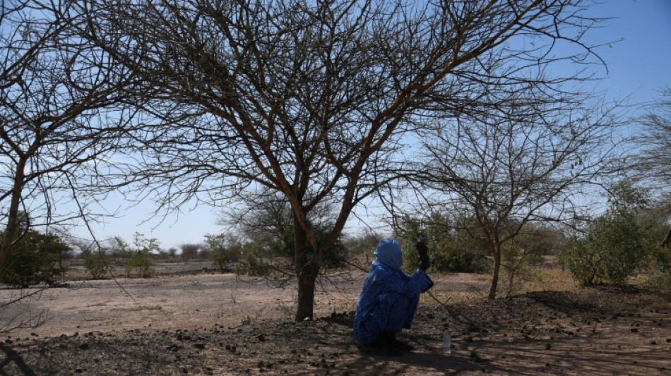 La COP15 contre la d&eacute;sertification s'ouvre &agrave; Abidjan 