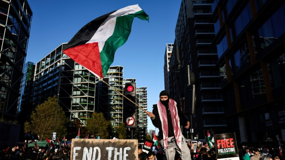 Unos 300.000 participantes en marcha propalestina en Londres, seg&uacute;n la polic&iacute;a