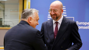 L&iacute;der de la UE visitar&aacute; Hungr&iacute;a para limar tensiones con el primer ministro Orb&aacute;n