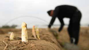 Debatte um Mindestlohn f&uuml;r Saisonarbeiter: Rainer zeigt sich offen f&uuml;r Ausnahmen