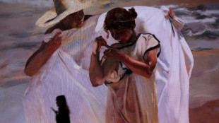 Madrid palace to host exhibition on celebrated Spanish artist Sorolla