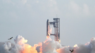 SpaceX de Elon Musk eleva sua avaliação para US$ 800 bilhões (imprensa)