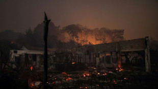 Feux de for&ecirc;t en Gironde: 10.500 hectares br&ucirc;l&eacute;s depuis mardi
