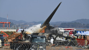 Corea del Sur reformar&aacute; aeropuertos tras el accidente de avi&oacute;n de Jeju Air