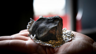 Grâce à la science participative, un astéroïde suivi à la trace jusqu'à son impact