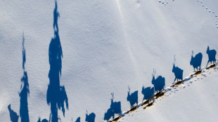 Sweden's Sami fear for future amid rare earth mining plans