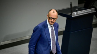 Merz bei Regierungsbefragung im Bundestag