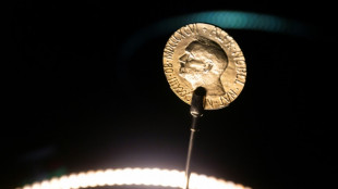 Un Nobel de la paix pour la "coexistence pacifique" &agrave; un trio ukrainien, russe et b&eacute;larusse