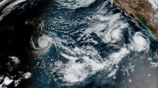 Hurricane Polo approaches Mexico, threatens severe damage