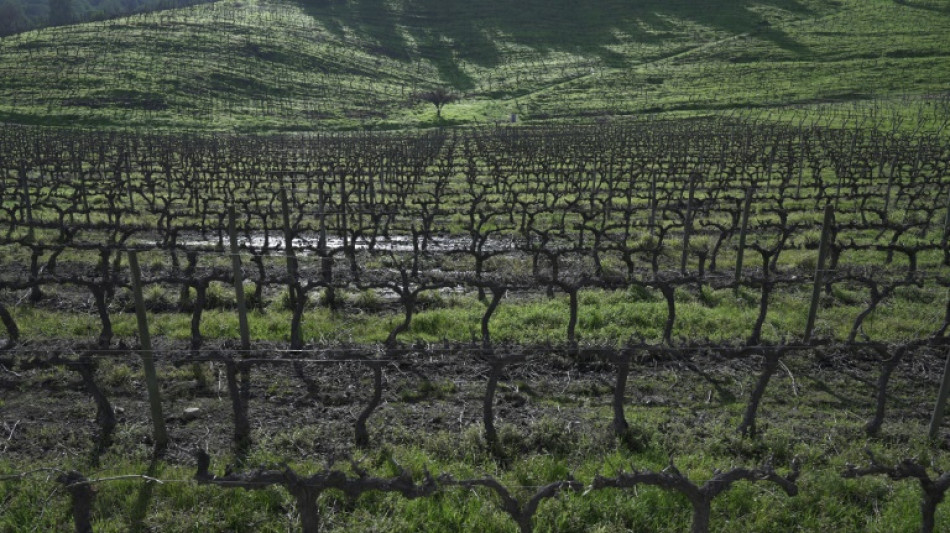 La econom&iacute;a de Chile no registra variaci&oacute;n en septiembre