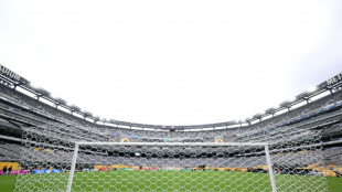 'Gouged': World Cup fans to pay $150 for NY stadium train ticket
