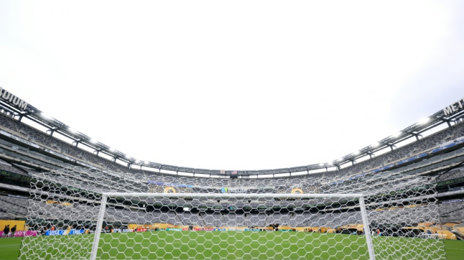 World Cup fans to pay $150 for NY stadium train ticket: official