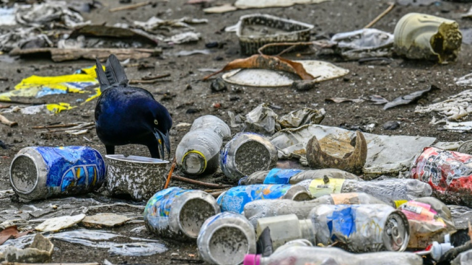 Nuevas negociaciones en Par&iacute;s para un tratado contra la contaminaci&oacute;n pl&aacute;stica
