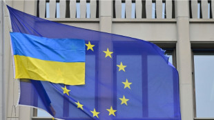 Selenskyj begr&uuml;&szlig;t von EU vorgeschlagenen Verzicht auf Einfuhrz&ouml;lle