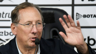 Justi&ccedil;a suspende direitos de voto da Eagle na SAF do Botafogo