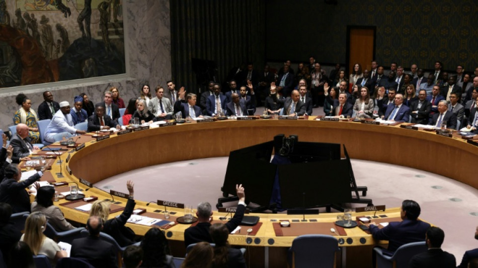 Le Conseil de s&eacute;curit&eacute; de l'ONU vote pour une force internationale &agrave; Gaza