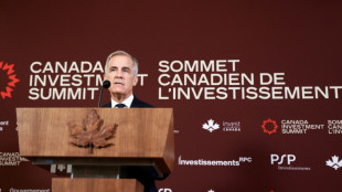 Carney fait les yeux doux aux investisseurs et rassure sur sa relation avec Washington