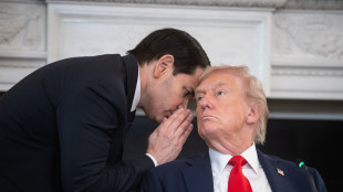 Trump, ostaggi liberi e Israele ritirer&agrave; le sue truppe