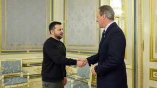 Cameron visita Ucrania y promete a Zelenski mantener el apoyo militar brit&aacute;nico