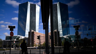 El Banco Central Europeo prev&eacute; una pausa antes de comenzar a bajar los intereses