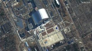 Lemke warnt zu Tschernobyl-Jahrestag vor Atom-Gefahr in Ukraine 