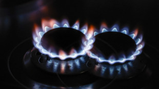 Il prezzo del gas sale a 87,40 euro al megawattora