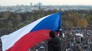 Manifestations contre le pouvoir en R&eacute;publique tch&egrave;que et en Slovaquie