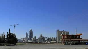 Au proc&egrave;s de Lafarge, les parties civiles d&eacute;noncent le cynisme de la soci&eacute;t&eacute; et de ses cadres