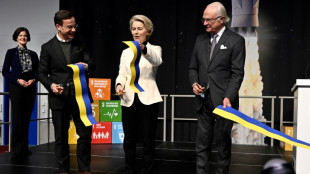 Suecia avanza en la carrera para lanzar sat&eacute;lites desde suelo europeo