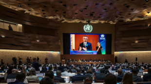 Chefe da OMS pede 'clemência' a Israel na guerra em Gaza