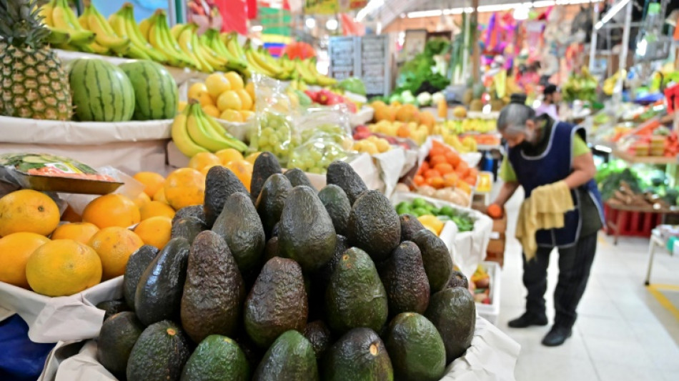 M&eacute;xico promete reforzar la seguridad para reanudar los env&iacute;os de aguacate a EEUU