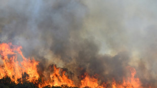 Un incendie mobilise 600 pompiers en Ard&egrave;che, le feu dans l'H&eacute;rault fix&eacute;