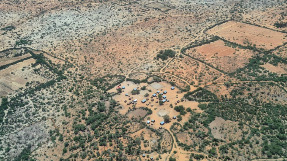 Madagascar, primer pa&iacute;s en beneficiarse del mecanismo clim&aacute;tico del FMI y el BM