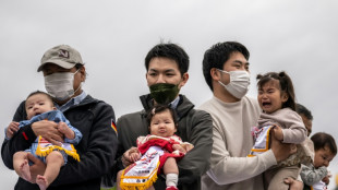 Un fabricante japon&eacute;s de pa&ntilde;ales abandona su producci&oacute;n por la baja natalidad