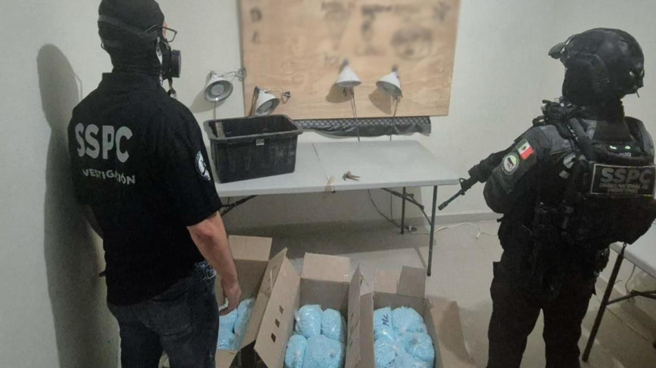 Colpo ai narcos in Messico, sequestrate 14 milioni di dosi di Fentanyl