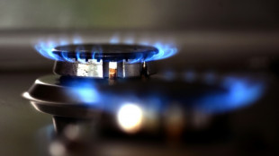 Hungr&iacute;a dispuesta a pagar el gas ruso en rublos, asegura el primer ministro