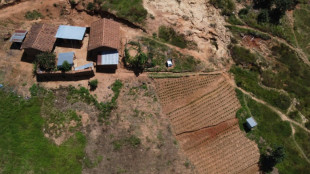 Con lluvias cada vez m&aacute;s escasas, los guatemaltecos aprenden a usar cada gota