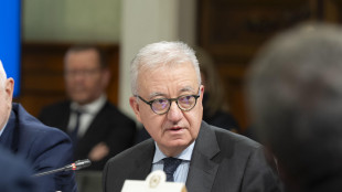 Mantovano, 'da Gratteri indagini su chi sui social &egrave; per il Si?'