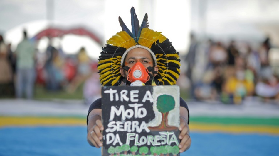 Tierras ind&iacute;genas de Brasil act&uacute;an como barreras contra deforestaci&oacute;n, seg&uacute;n informe
