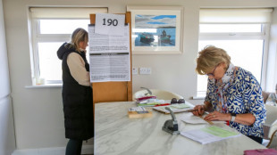 El "no" encabeza los primeros resultados del referend&uacute;m irland&eacute;s para modernizar la Constituci&oacute;n