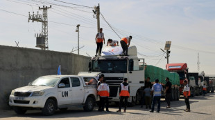 Primeiros caminh&otilde;es de ajuda entram em Gaza e ONU pede 'cessar-fogo humanit&aacute;rio'