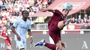 Serie A: Torino-Inter 2-2