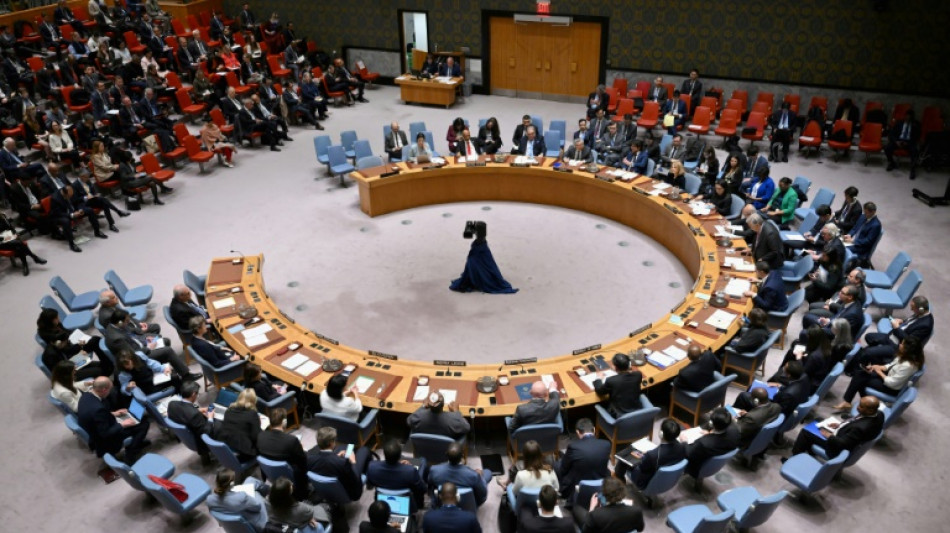 EUA veta no Conselho de Seguran&ccedil;a pedido palestino de ades&atilde;o &agrave; ONU
