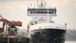 Finlande: la police interroge l'&eacute;quipage du navire soup&ccedil;onn&eacute; de d&eacute;g&acirc;ts &agrave; un c&acirc;ble sous-marin