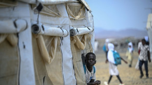 La ONU alerta que cerca de 20 millones de sudaneses sufren hambre

