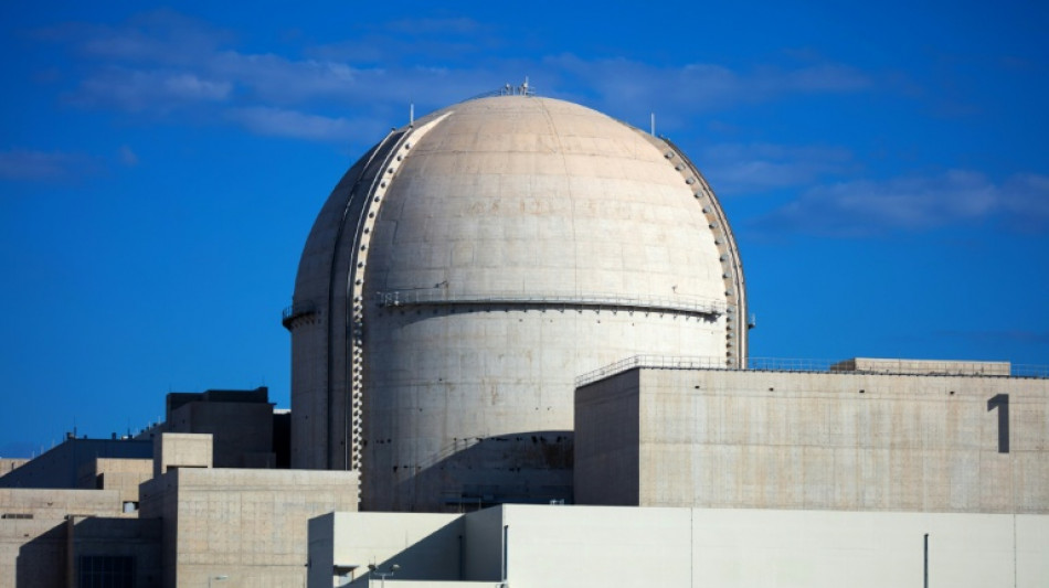 Rusia condena un ataque contra una central nuclear en Emiratos