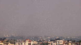 M&aacute;s de 80 muertos en dos bombardeos israel&iacute;es en un campo de refugiados de Gaza 