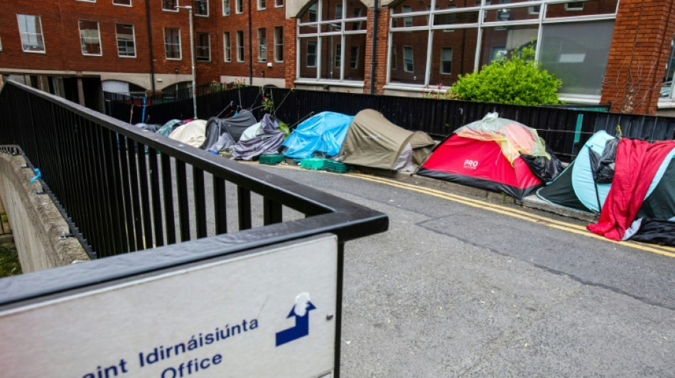 La integraci&oacute;n de los migrantes, un dif&iacute;cil equilibrio entre trabajo y precariedad