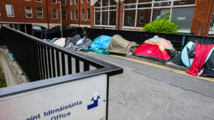 La integraci&oacute;n de los migrantes, un dif&iacute;cil equilibrio entre trabajo y precariedad